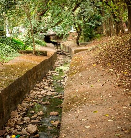 córrego das corujas